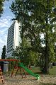 IAMS2008 050